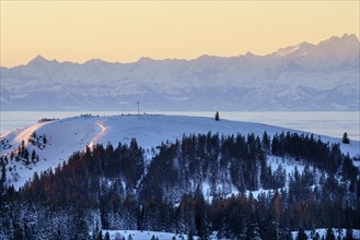 View from the Feldberg over the Herzogenhorn to the Swiss Alps, sunrise, Breisgau-Hochschwarzwald