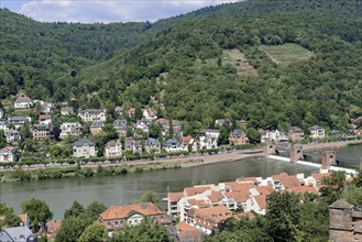 View of a river (Neckar), with a bridge and residential areas on the slope, Heidelberg,