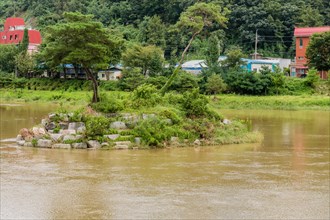 Trees and bushes on small man made island in middle of flooded river after monsoon rains in Daejeon