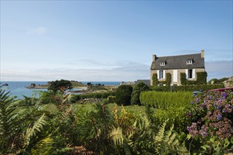 House by the sea, Plougrescant, Cote de Granit Rose, Cotes d'Armor, Brittany, France, Europe
