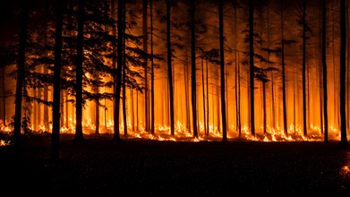 Dense forest consumed by a nocturnal wildfire flames engulfing trees casting an eerie glow, AI