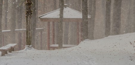 Snow falling heavily around a gazebo with visibility hampered by the weather, in South Korea