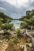 Cala Mitjana, Cala d'Or, Majorca, Balearic Islands, Spain, Europe