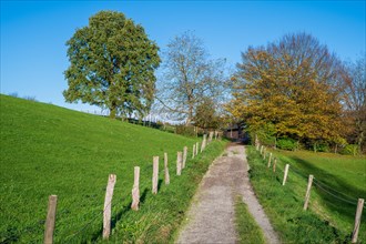 An idyllic path with a wooden fence leads through a green meadow, Schoeller, Wuppertal, Bergisches