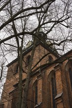 Church, trees, St. Michaelis, Lueneburg, Lower Saxony, Germany, Europe