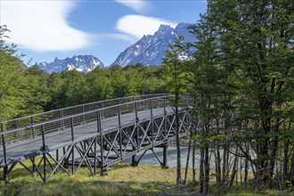 Bridge over a tributary of Lago Grey, Torres del Paine National Park, Parque Nacional Torres del
