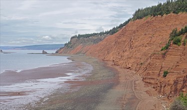 Seashore at low tide, cliffs, red sandstone, Five Islands Provincial Park, Fundy Bay, Nova Scotia,