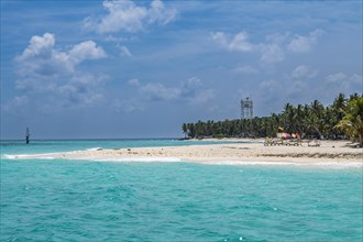 Palm fringed white sand beach, Agatti Island, Lakshadweep archipelago, Union territory of India