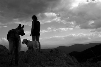 Silhouetted person and dogs on a mountain under a cloudy sky, Amazing Dogs in the Nature
