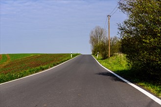 An empty country road leads through a green landscape under a clear blue sky, Nordbahntrasse,