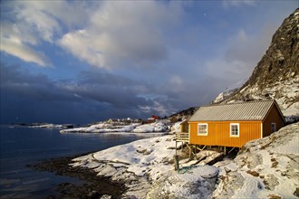 Snowy coastline with a solitary orange cabin against a blue sky with puffy clouds, Lofoten