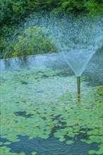 Close view of a fountain spraying water above lily pads in a pond, in South Korea