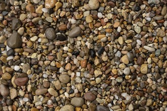 Colourful stones on the beach of Malolo, Milos, Cyclades, Greece, Europe