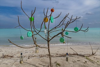 Plastic art on a tree, white sand beach, Tinnakara island, Lakshadweep archipelago, Union territory