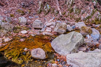 Clear waters of a stream with rocks and fallen autumn leaves in a serene wooded area, in South