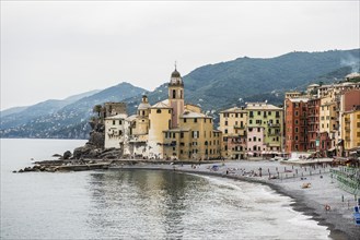 Village with colourful houses by the sea, Camogli, Province of Genoa, Riveria di Levante, Liguria,