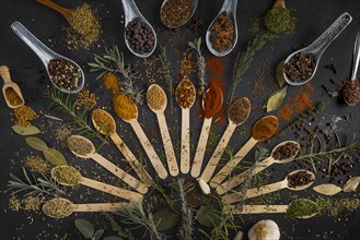 Colourful spices and herbs arranged in spoons on a dark background