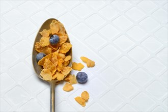 Cornflakes and blueberries in spoon, Breakfast