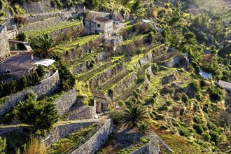 Sun-kissed terraced fields with stone walls on a steep Mediterranean hillside, Hiking tour from