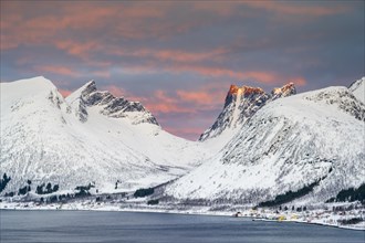 Snow-covered mountains at sunrise, Bergsbotn, Senja Island, Norway, Europe