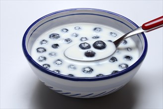 Blueberries with milk in skin