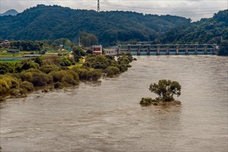 Flooded river near a hydroelectric dam with submerged trees and cloudy skies, in South Korea