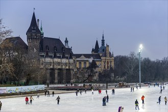 The ice rink in front of the castle, skating, attraction, ice, winter, winter sports, leisure,