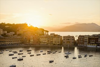 Village with colourful houses by the sea, sunset, Baia del Silenzio, Sestri Levante, Province of