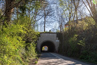 Springtime tunnel view of a road lined with trees, cycle path, Nordbahntrasse, Barmen, Wuppertal,