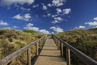 Path through the dune landscape, wooden walkway, environmental protection, nature conservation,