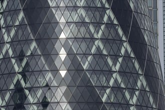 The Gherkin skyscraper building close up of window details with a Herring gull (Larus argentatus)