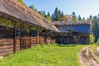 Old timber barn with thatched roof in the countryside a sunny summer day, Bastoena, Vara, Sweden,