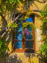 Old House with Window and Flower in a Sunny Day in Milan, Lombardy, Italy, Europe