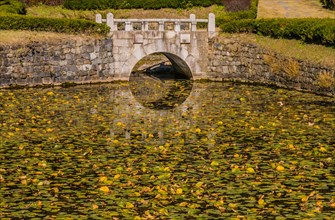 Tranquil pond filled with lily pads and a reflection of an arched stone bridge, in South Korea