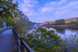 Twilight scene by the river with a footpath lined by trees, in South Korea