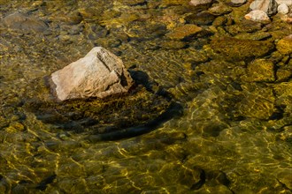 Sunlight reveals a clear riverbed with submerged rock, in South Korea