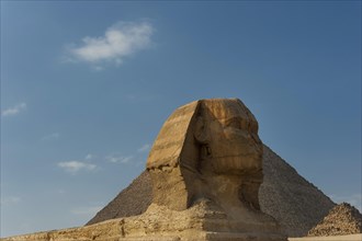 Sphinx of Giza, desert, wonder of the world, building, sculpture, monument, architecture,