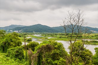 Overcast skies over a lush riverscape with dense green vegetation, in South Korea