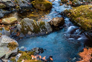 A shallow brook flows over rocks and moss, with fallen autumn leaves visible in the water, in South