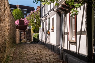 Sunny narrow alley with half-timbered houses and flowering plants by the wayside, Old Town,