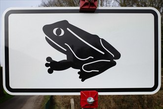 Signpost for toad migration, Lower Rhine, North Rhine-Westphalia, Germany, Europe