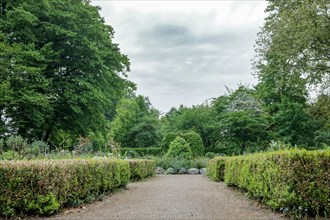 Path through a neatly landscaped garden with shrubs and trees