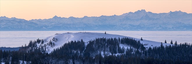 View from the Feldberg over the Herzogenhorn to the Swiss Alps, in front of sunrise,
