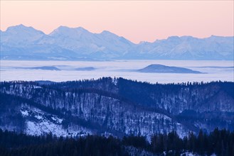 View from Feldberg to the Swiss Alps, in front of sunrise, Breisgau-Hochschwarzwald district,