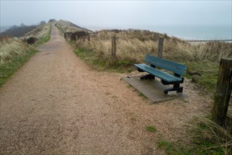An empty bench on a path with a view of the dunes under a cloudy sky