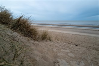 Dunes with beach grass in front of an empty beach and a cloudy sky, DeHaan, Flanders, Belgium,