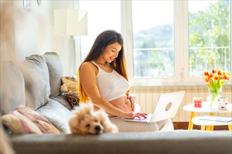 Pregnant beauty woman using laptop sitting on the sofa at home next to a domestic dog