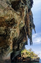 Limestone cliffs at Railay Beach, limestone, limestone cliffs, travel, holiday, tourism, nature,