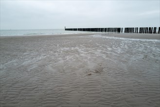 Overview of an empty beach with wooden groynes under a cloudy sky