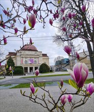 Exterior of Opera House building seen through magnolia flowers, in the city center of Graz,